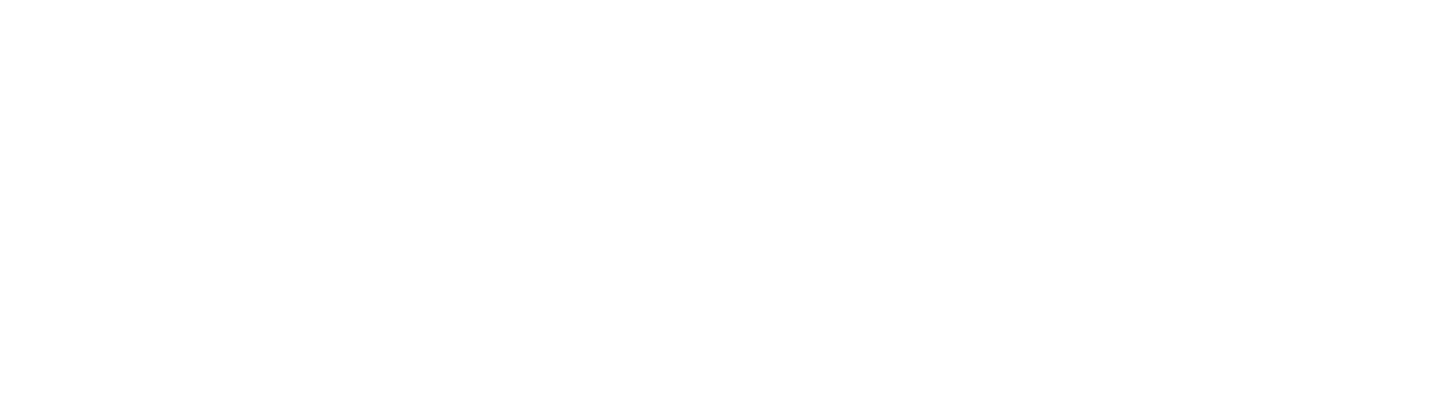 Acino logo