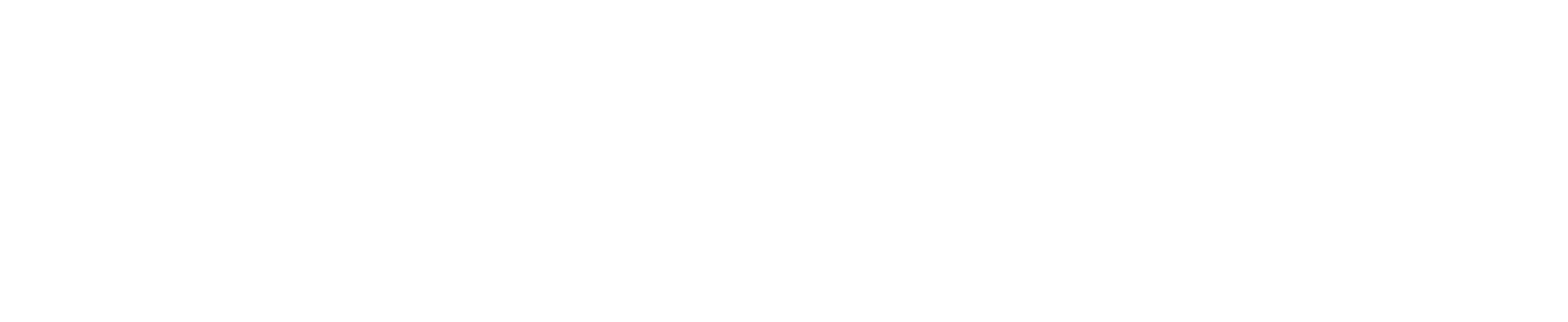 Careem logo